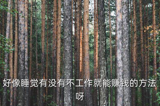 什么事可以睡著賺錢，上晚班晚上八點(diǎn)上到早晨六點(diǎn)期間可以睡覺我想白天在干點(diǎn)賺錢