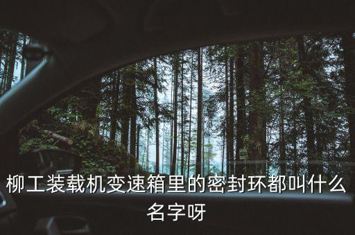 柳工836使用的什么鋼圈，柳工836配用的是什么發(fā)動機(jī)