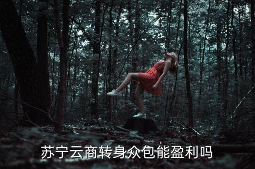 蘇寧眾包什么時(shí)候上線，蘇寧云商轉(zhuǎn)身眾包能盈利嗎