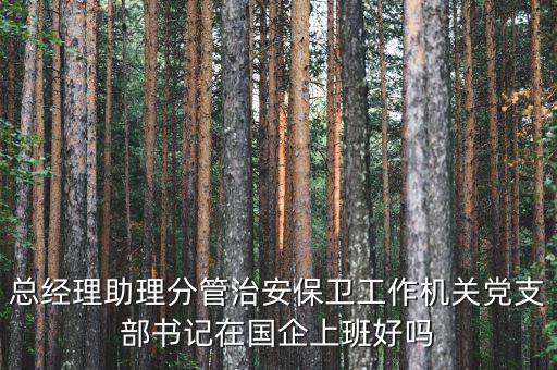 國企書記干什么的，總經(jīng)理助理分管治安保衛(wèi)工作機(jī)關(guān)黨支部書記在國企上班好嗎
