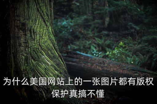 為什么國外重視版權(quán)，為什么美國網(wǎng)站上的一張圖片都有版權(quán)保護真搞不懂