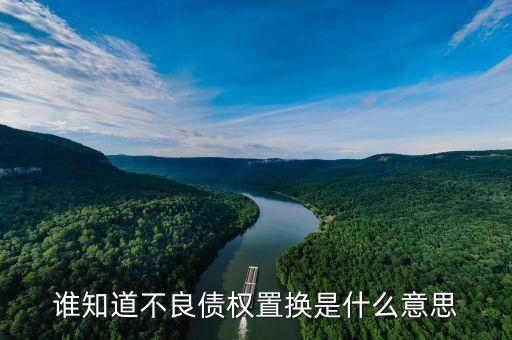 什么是不良資產(chǎn)置換，誰知道不良債權(quán)置換是什么意思