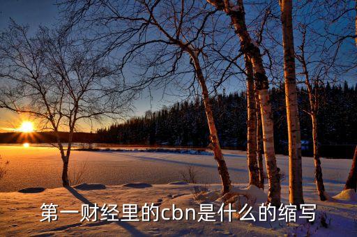 cbn在物流業(yè)中是什么意思，服裝里CBN是什么意思