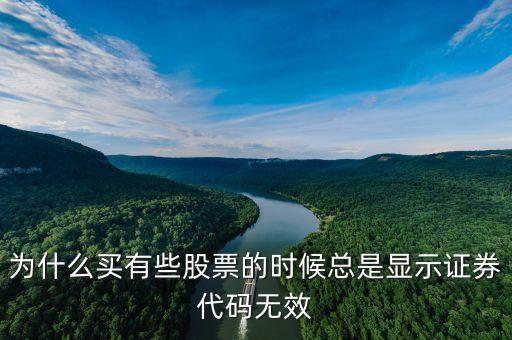 證券代碼無(wú)效什么意思，為什么買(mǎi)有些股票的時(shí)候總是顯示證券代碼無(wú)效