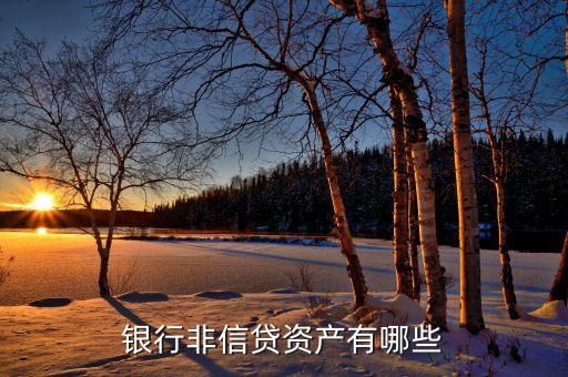 非信貸業(yè)務(wù)是什么，什么是銀行的非信貸資產(chǎn)