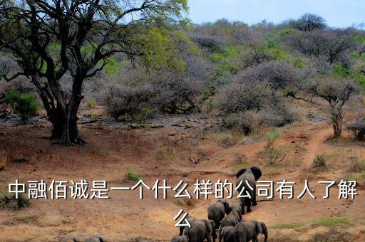 中融信誠是做什么的，中融佰誠是一個什么樣的公司有人了解么