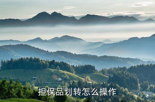 擔(dān)保品轉(zhuǎn)入是什么，融資融卷中的擔(dān)保品劃轉(zhuǎn)是什么意思