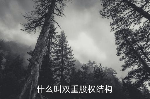 什么是雙層董事會，家長不提供學(xué)習(xí)費用能否貸款