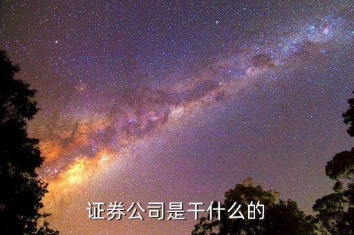 正規(guī)的證券公司是做什么的，證券公司干什么的