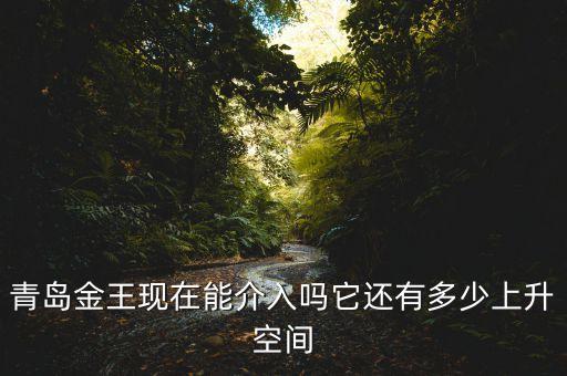 2015青島金王什么概念，青島金王現在能介入嗎它還有多少上升空間
