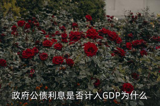 政府公債利息是什么，什么叫政府公債利息