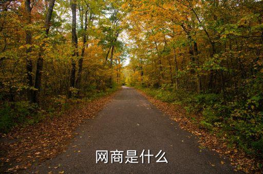 dt網(wǎng)商是什么，網(wǎng)商是什么