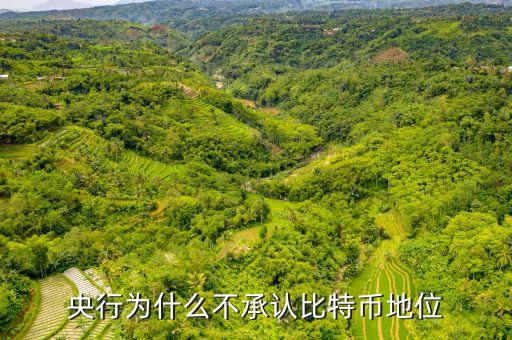 為什么中央不承認比特，中美為什么不承認比特幣的合法性