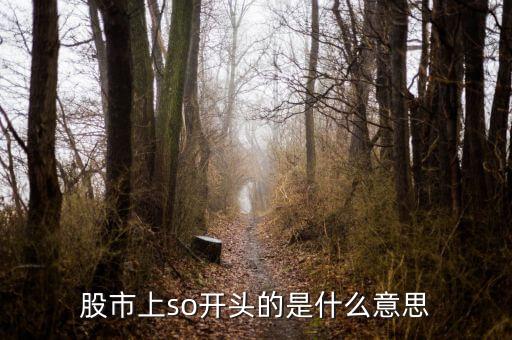 so股票什么意思，股市上so開頭的是什么意思