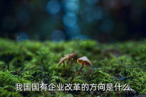 企業(yè)改革方向是什么，我國(guó)國(guó)有企業(yè)改革的方向是什么
