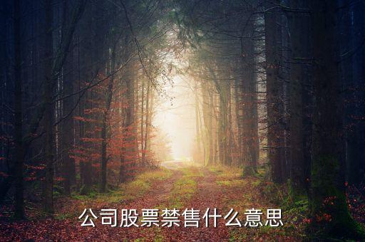 什么是禁售股，公司股票禁售什么意思