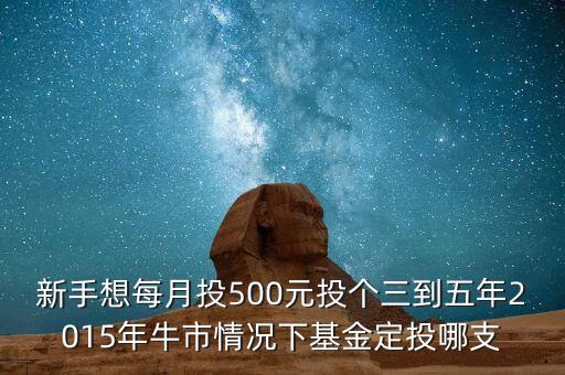 2015年新手買什么基金好，2015買什么基金比較好