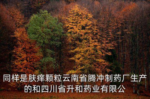 騰沖制藥廠是什么企業(yè)，云南騰沖制藥廠制造的人參再造丸