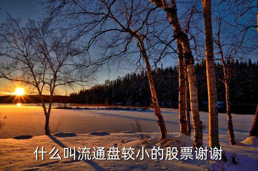 流通股很少的股票有什么特點(diǎn)，流通值小流通股本小的特點(diǎn)是什么