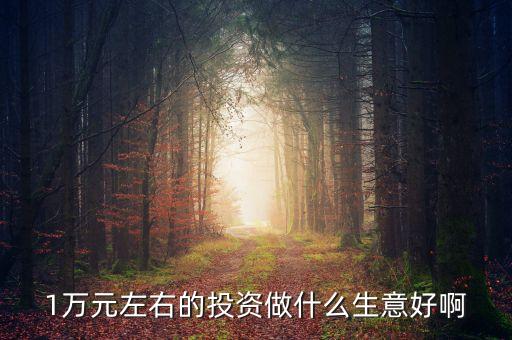萬投資什么好，有10000元錢拿來做什么最好或者投資什么最好
