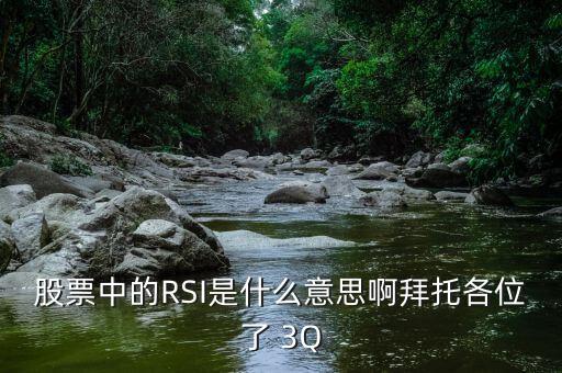 股票中rsi指標什么意思，股票中的RSI是什么意思