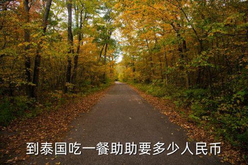 助幣是什么意思，到泰國吃一餐助助要多少人民幣