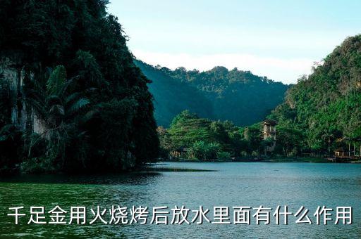 黃金放水里有什么反應(yīng)，把金子放在水因上會出現(xiàn)什么情況
