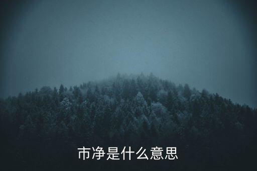 什么叫市凈率，什么是市凈率和市盈率