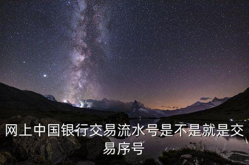 中國(guó)銀行企業(yè)網(wǎng)銀轉(zhuǎn)賬批次號(hào)什么意思，企業(yè)網(wǎng)銀客戶號(hào)是什么意思