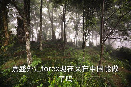 嘉盛外匯為什么2008年退出中國，請問嘉盛怎樣了解的給說下謝了