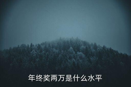年終獎(jiǎng)10000什么水平，月薪1700年終獎(jiǎng)一萬算什么水平