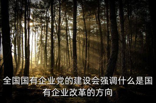 全國(guó)國(guó)有企業(yè)黨的建設(shè)會(huì)強(qiáng)調(diào)什么是國(guó)有企業(yè)改革的方向