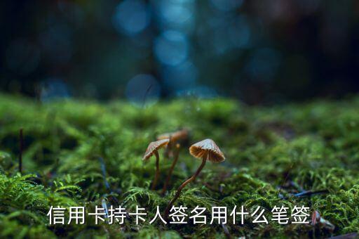 信用卡用什么筆簽名，信用卡持卡人簽名用什么筆簽