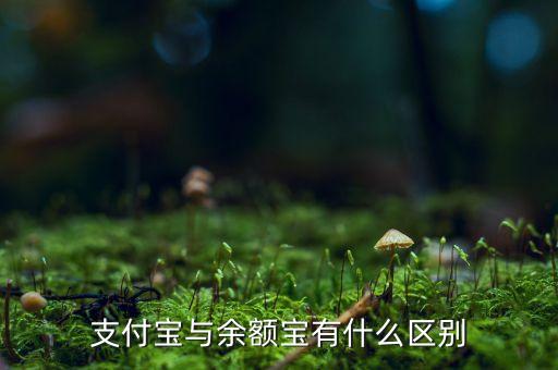 支付寶錢(qián)包跟余額寶有什么區(qū)別，支付寶錢(qián)包賬戶(hù)余額跟余額寶有什么不同