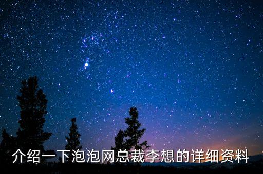 介紹一下泡泡網總裁李想的詳細資料