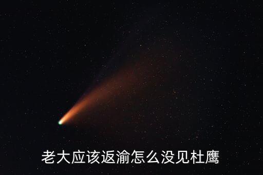 張曉強(qiáng)杜鷹為什么，發(fā)改委副主任杜鷹是誰的孩子