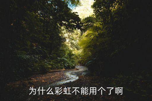 彩虹改名什么了，99彩虹改名叫9虹了嗎