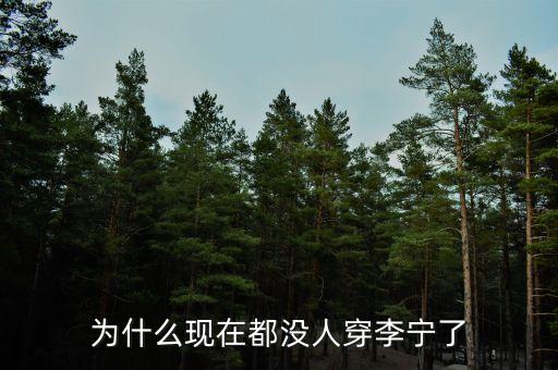 李寧為什么不行了，李寧公司為何一夜垮臺