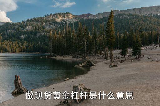 什么叫擔(dān)保杠桿，做現(xiàn)貨黃金杠桿是什么意思