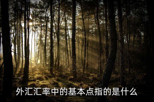 外匯基點是什么意思，外匯匯率中的基本點指的是什么