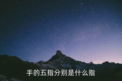 五指最后小指是什么指，五指 怎么分別