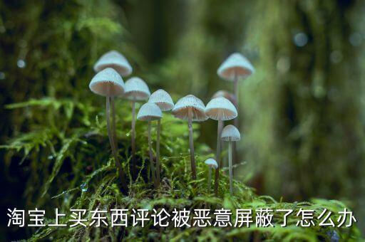 什么是淘寶網(wǎng)的惡意屏蔽，打開我的淘寶店鋪在電腦右下角會自動彈出惡意網(wǎng)站被攔截是什么原因