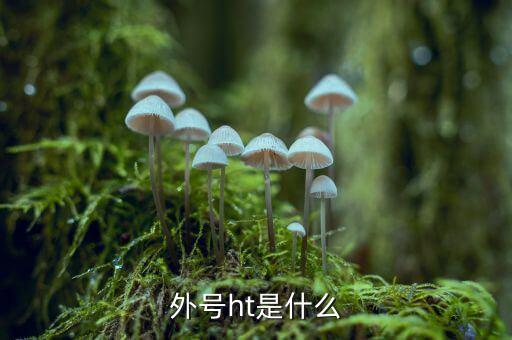 買受人號(hào)碼ht是什么，備案合同中買受人號(hào)碼HT