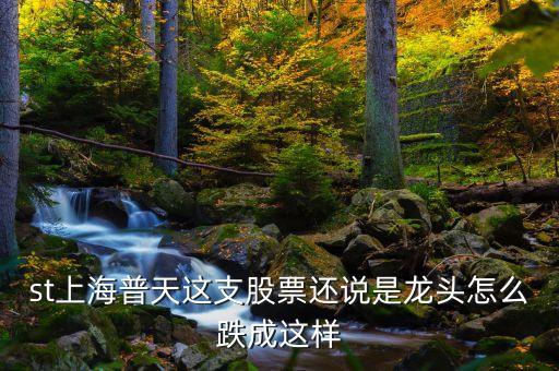上海普天什么時(shí)間上市，st上海普天這支股票還說是龍頭怎么跌成這樣
