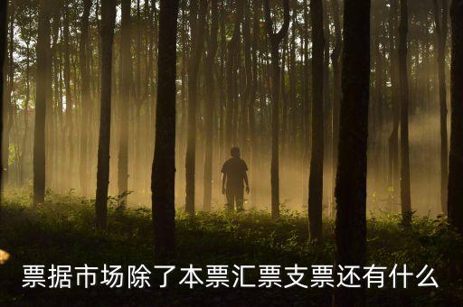 票據(jù)市場(chǎng)是各類票據(jù)什么的，票據(jù)貼現(xiàn)市場(chǎng)屬于貨幣市場(chǎng)嗎