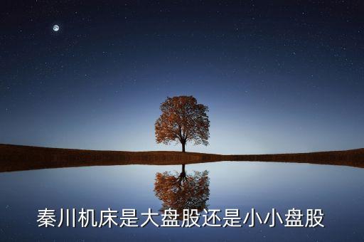 秦川機床是什么板塊的，600248是屬于什么板塊的股有潛力沒的能看高到多少價位