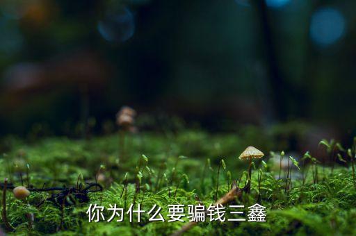 為什么中航三鑫，你為什么要騙錢三鑫