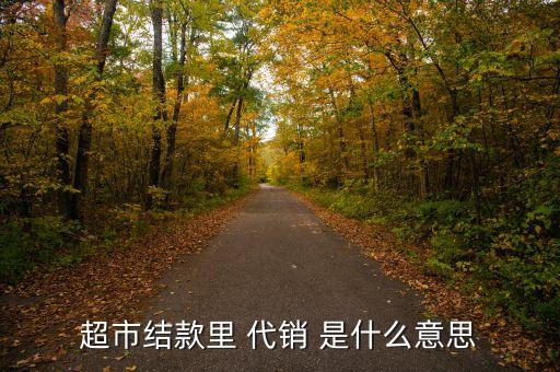 超市代銷(xiāo)是什么意思，代銷(xiāo)商品款是甚么意思