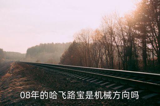 哈飛集團用什么專業(yè)，08年的哈飛路寶是機械方向嗎