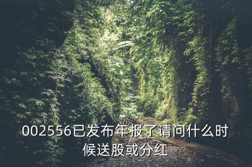 深圳能源什么時(shí)候送股，深圳能源什么時(shí)候送股